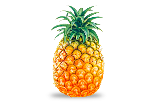 Exquisite Pineapple Creations for a Burst of Sweet Sunshine in Every - Görsel 2